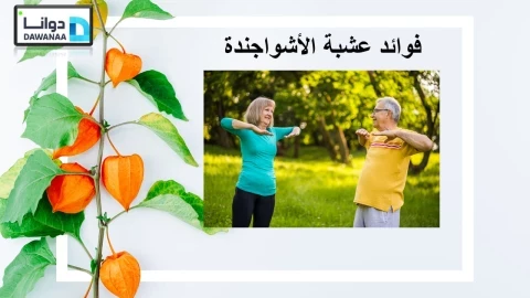 عشبة الاشواجندا"عشبة الرياضيين تعرف على 7 فوائد مثبتة لهذه العشبة"