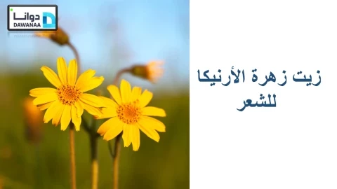 زيت زهرة الأرنيكا للشعر